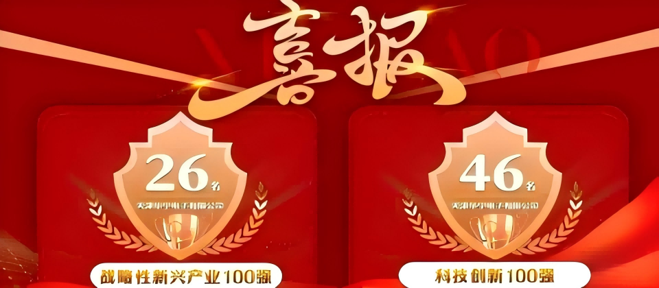 稳步前行，名次跃升！ 星空官方网站在第十三届民营经济健康发展工程大会荣获佳绩